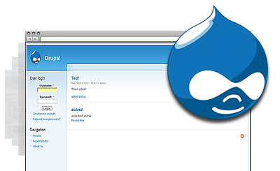 Drupal Hosting Plan