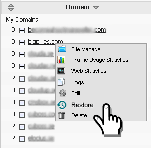 Restore File Backup in the Domain Manager