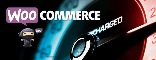 WooCommerce performance-650